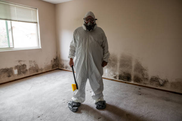 Best Bathroom Mold Remediation in North Bend, OH